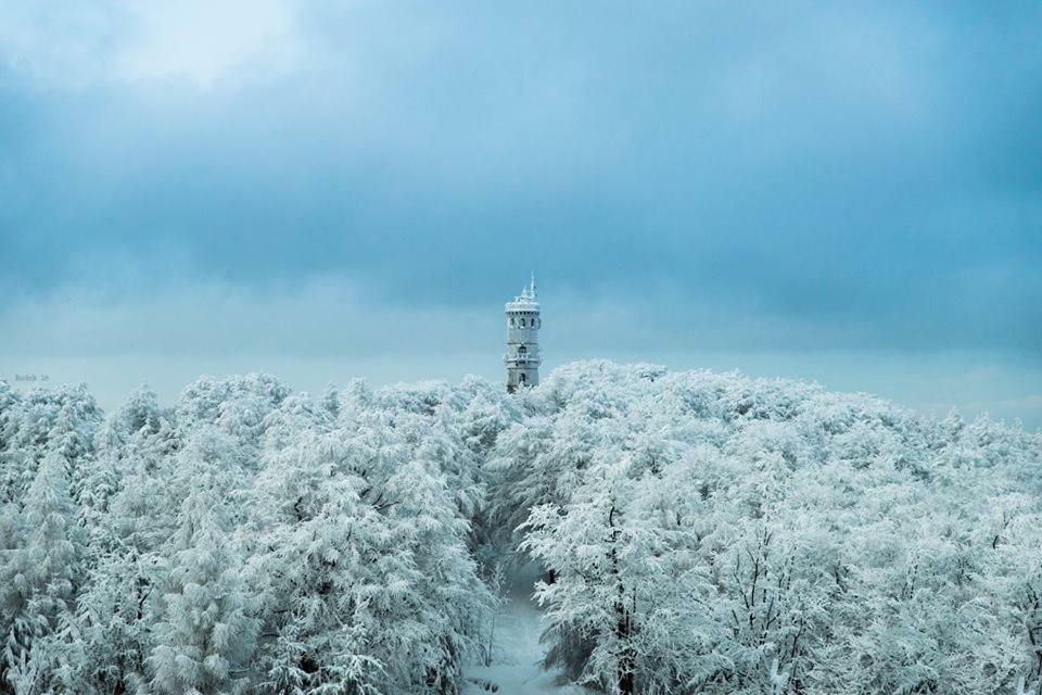 Chalupa Luzicke Hory Dolni Svetla Bagian luar foto